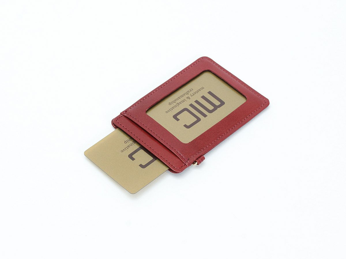 アリアナ単パス入れ